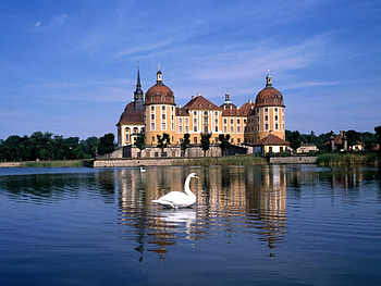 Landscape, Castles, Swans HD wallpaper
