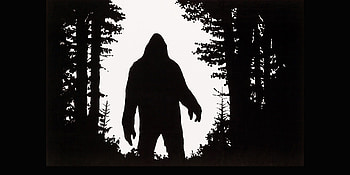 Cryptid creature, Unknown entity, Hidden mystery, Intriguing legend HD wallpaper