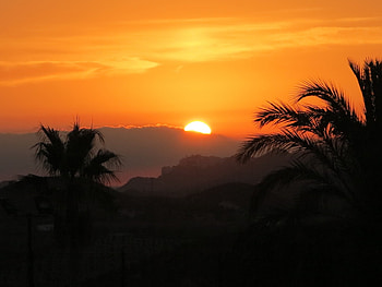 Sunrise, Mojacar, Spain, Palms, Mojacar, Sunrise, Spain HD wallpaper