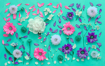 Flowers, blue, summer, pink, white, skin, flower, texture HD wallpaper