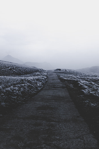 Nature, Snow, Fog, Path, Frost, Hoarfrost HD phone wallpaper