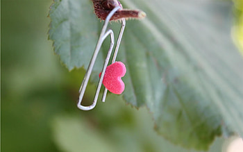 Love, Macro, Sheet, Leaf, Branch, Heart, Paper Clip, Twig, Sprig, Clip HD wallpaper