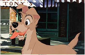 Tramp, Lady and the Tramp HD wallpaper