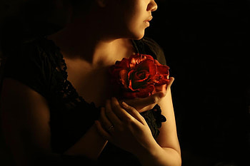 Rose, lady, abstract HD wallpaper