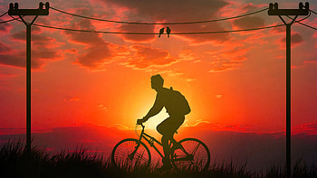 Morning Bicycle Ride , bicycle, artist, artwork, digital-art HD wallpaper