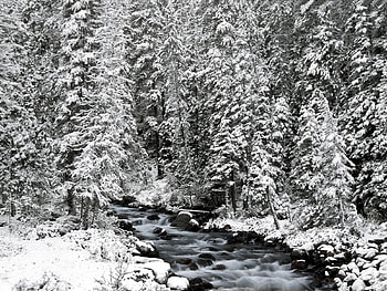 Winter, Nature, Rivers, Trees, Stones, Snow, Canada, Flow, Ate, Albert, Alberta, Banff National Park HD wallpaper