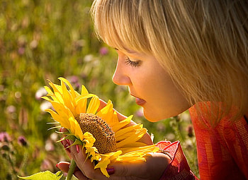 Beauty w Flower, cool HD wallpaper