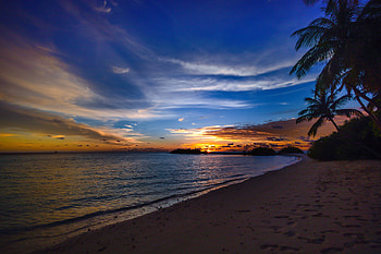 Beach Tree Sea Clouds , beach, tree, sea, clouds, nature, sunset HD wallpaper