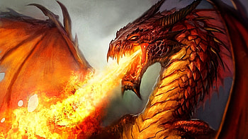 Fire Dragon Full HD wallpaper
