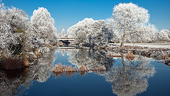 Park in winter, reflections, lake, snow, landscape, trees, water, ice HD wallpaper