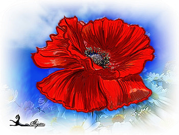 Plants, Flowers, Poppies HD wallpaper