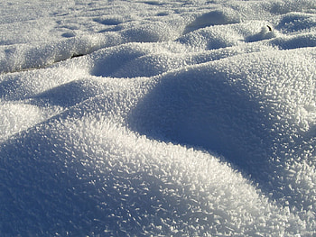 Winter, Nature, Snow, Drifts, Thorns, Prickles HD wallpaper