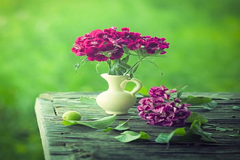 .::Evening Elegance.::, purple, love, green, wall, nature, flowers, elegance, evening HD wallpaper