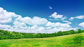 fresh summer grassland scenery backgrounds wide :, - HD wallpaper