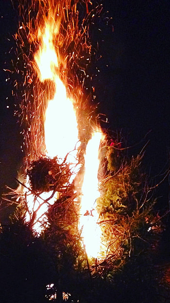 Bonfire, Night Bonfire, Campfire HD phone wallpaper