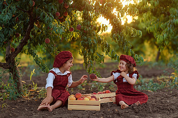 :), children, red, couple, apple, girl, tree, ekaterina gorokhova, copil, fruit HD wallpaper