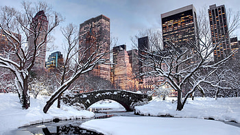 Gapstow Bridge, New York Streets HD wallpaper