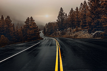 Nature, Forest, Road and background, Dark Forest Road HD wallpaper