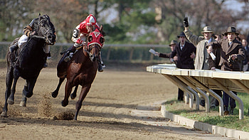 Seabiscuit, , Hintergrnde HD wallpaper