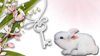 Simplicity, bunny, pink, key, sakura, easter, flowers, cherry blossoms, rabbit HD wallpaper
