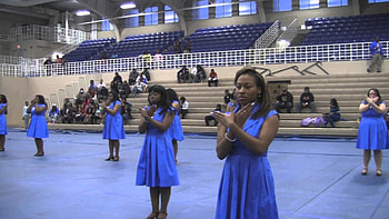 2013 Neo Showcase Epsilon Alpha Chapter of Zeta Phi Beta Sorority Inc. Tennessee State University HD wallpaper