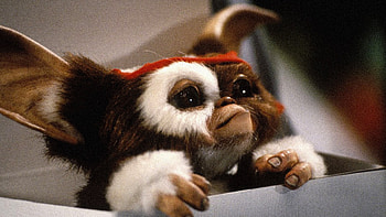 Gremlins animated prequel, WarnerMedia series, Exciting new storyline, Origin story HD wallpaper