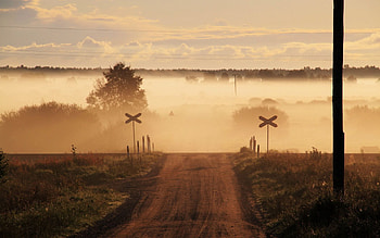 Nature, Signs, Road, Fog, Crossing, Moving HD wallpaper