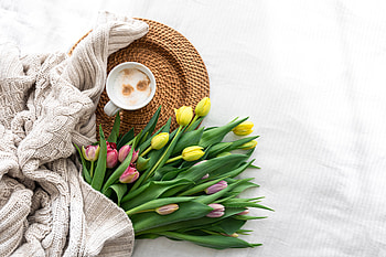 Still Life: Cozy Tulips & Morning Coffee, graphy, still life HD wallpaper