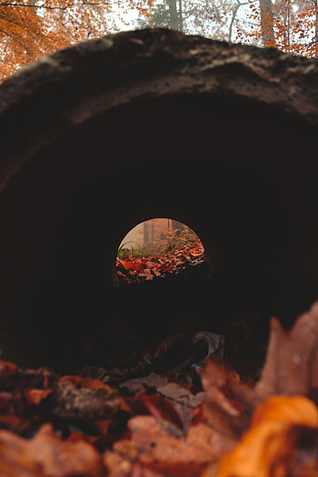 Autumn, Leaves, Dark, Miscellanea, Miscellaneous, Trumpet, Pipe, Tunnel HD phone wallpaper