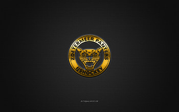 Zoetermeer Panthers, Dutch hockey club, yellow logo, gray carbon fiber background, BeNe League, hockey, Zoetermeer, Netherlands, Zoetermeer Panthers logo HD wallpaper