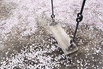 swing HD wallpaper