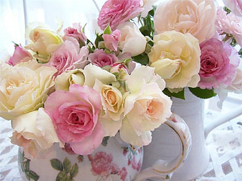 Plants, Flowers, Roses, Bouquets HD wallpaper