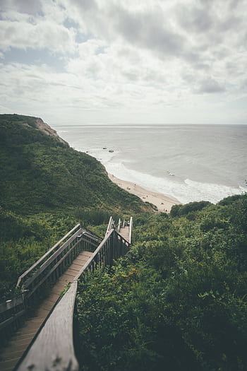 Beautiful wooden stairs leading down to a serene sandy beach with lush greenery and ocean waves. HD phone wallpaper
