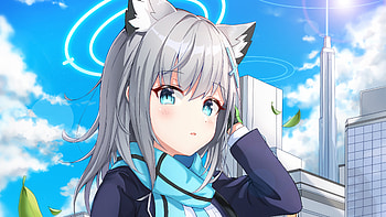 Blue Eyes Neko Ears White Hair Anime Girl With Blue Scarf Sky Background Anime Girl HD wallpaper