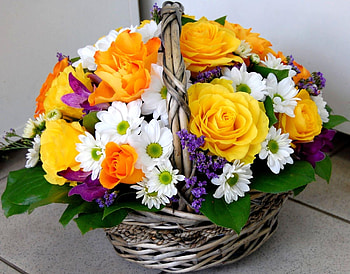 Flowers, Roses, Camomile, Registration, Typography, Basket, Handsomely, It's Beautiful HD wallpaper