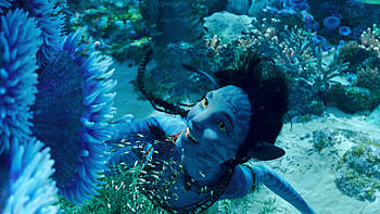 Avatar 2: The Way of Water -, water, Avatar: The Way of Water HD wallpaper