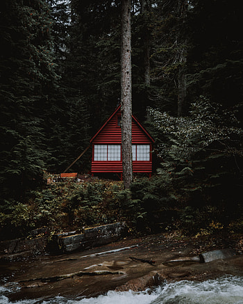 Nature, Trees, Building, Forest, House HD phone wallpaper