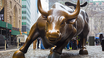 World / Charging Bull HD wallpaper