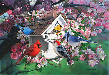 beautiful birdhouse, birds, spring, animals, house HD wallpaper