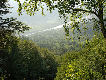 Landscape, Rivers, Trees HD wallpaper