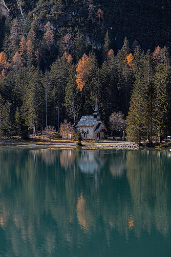 Nature, Water, Trees, Building, Lake, Shore, Bank HD phone wallpaper