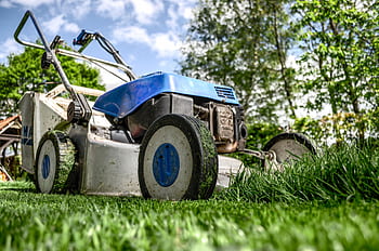 Close-up view of a lawn mower cutting grass in a garden on a sunny day. HD wallpaper