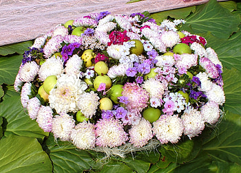Flowers. Ventspils,2014., other, nature, flowers, entertainment HD wallpaper