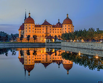 Moritzburg Castle is Reflected in Water, Germany, reflection, trees, moritzburg, building, nature, castle, water HD wallpaper