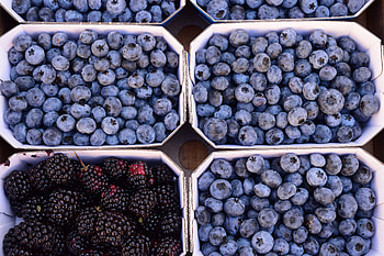 Food, Bilberries, Berries, Blackberry HD wallpaper