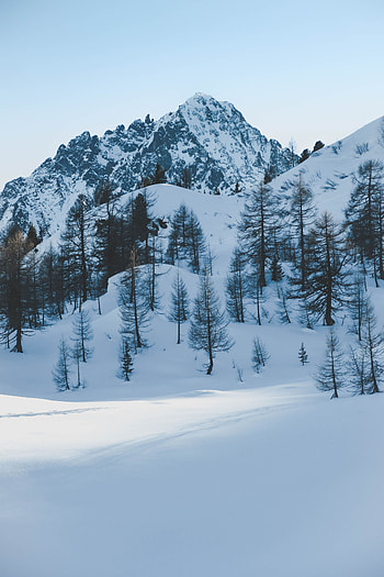 Winter, Nature, Trees, Snow, Mountain, Shadows, Winter Landscape HD phone wallpaper