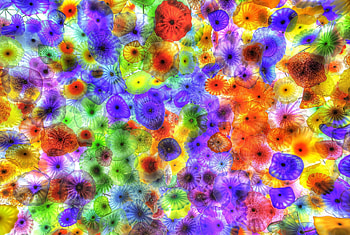 Abstract, Background, Jellyfish, Bright, Multicolored HD wallpaper