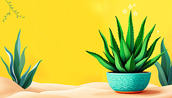 Vibrant Aloe Vera: Stunning Ultra, aloe vera, plant, cactus, indoor gardening, home decor HD wallpaper