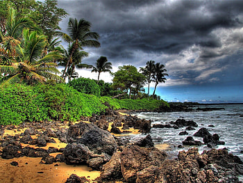 Nature, Stones, Sky, Clouds, Beach, Palms, Shore, Bank, Storm HD wallpaper