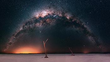 Landscape, dry trees, sky, milky way, night HD wallpaper